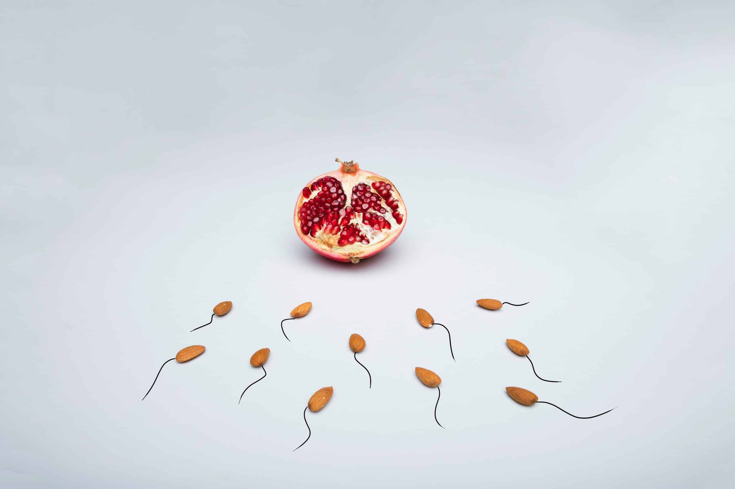 course de spermatozoïdes vers l'ovule